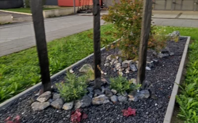 Création de massif en Meurthe-et-Moselle : Apportez de l’élégance avec House & Garden