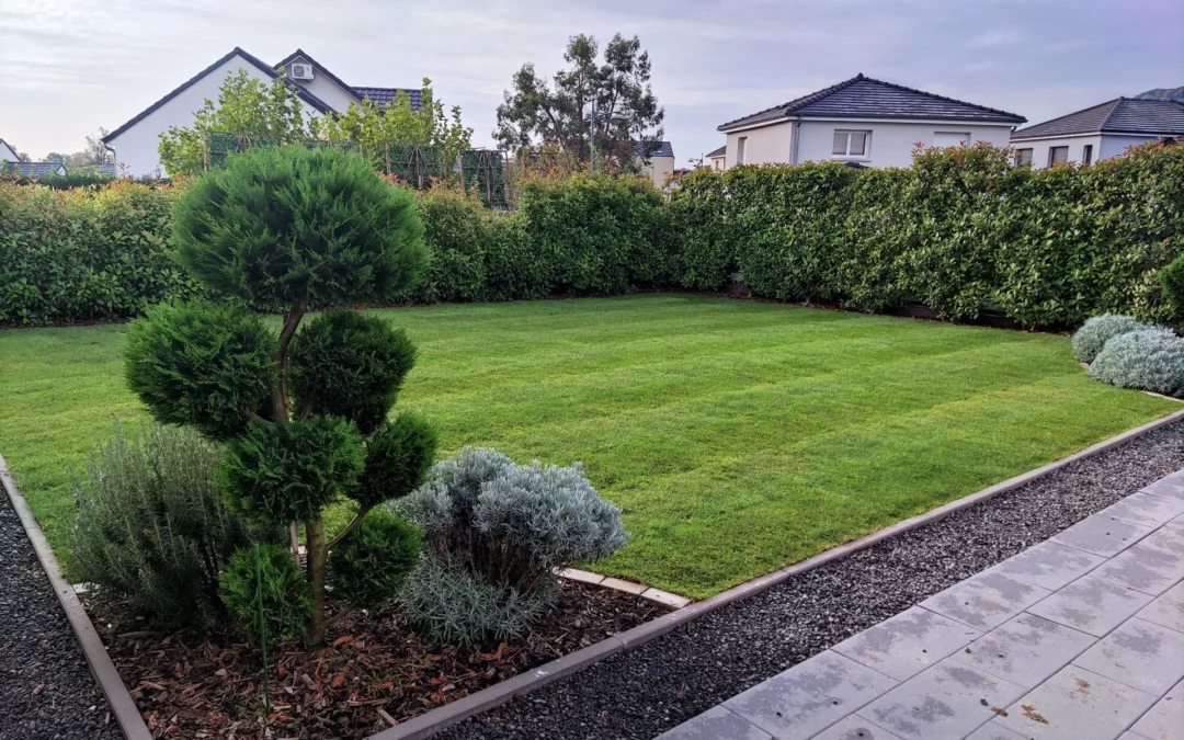 Engazonnement à Longwy : Sublimez votre jardin avec House & Garden