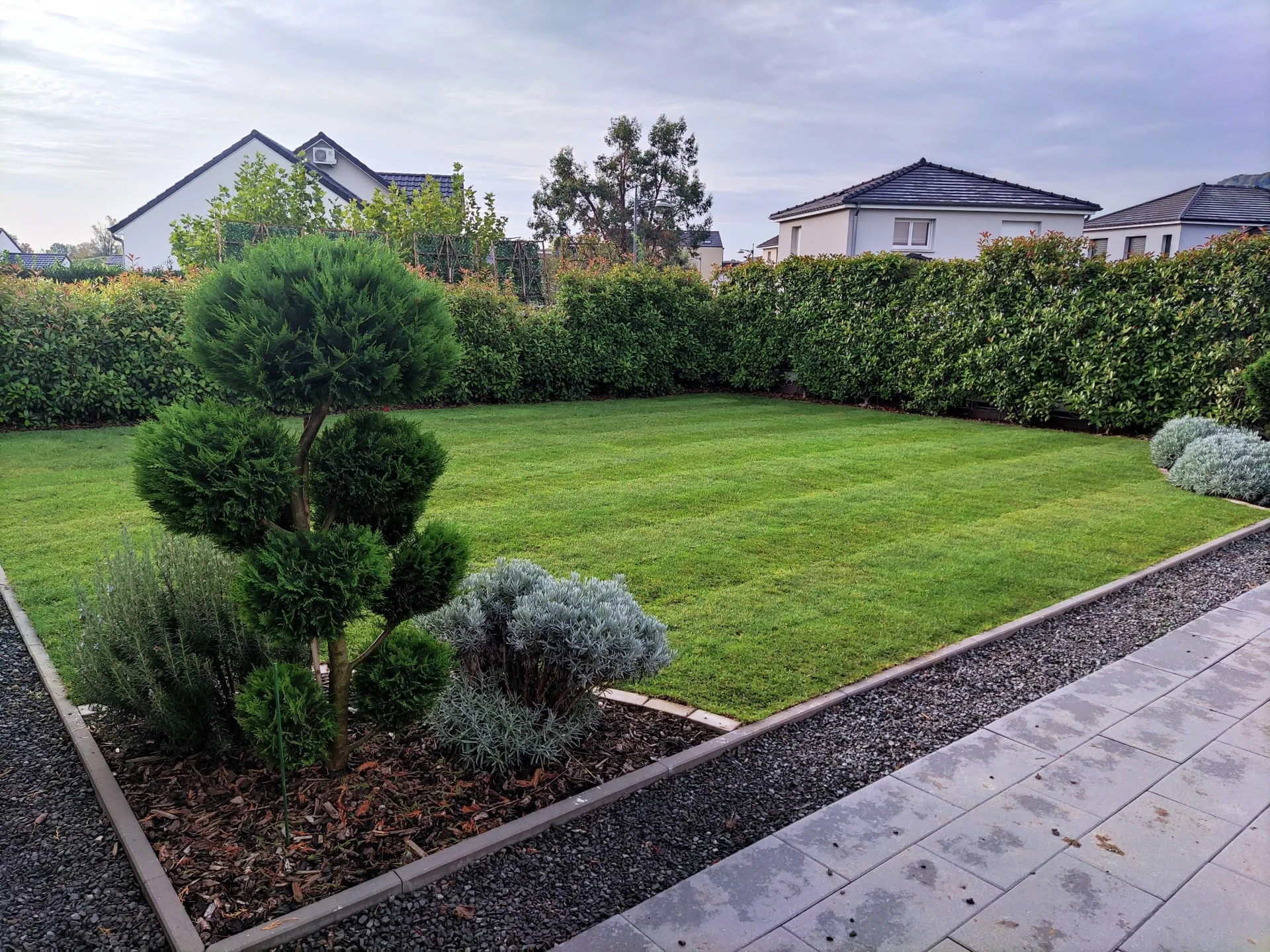 IMG_20231013_094322 IMG_20231013_094322