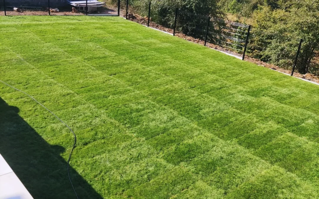 Entretien paysager à Amnéville : confiez votre jardin à des experts locaux avec House & Garden