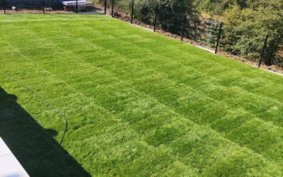 Entretien paysager à Amnéville : confiez votre jardin à des experts locaux avec House & Garden